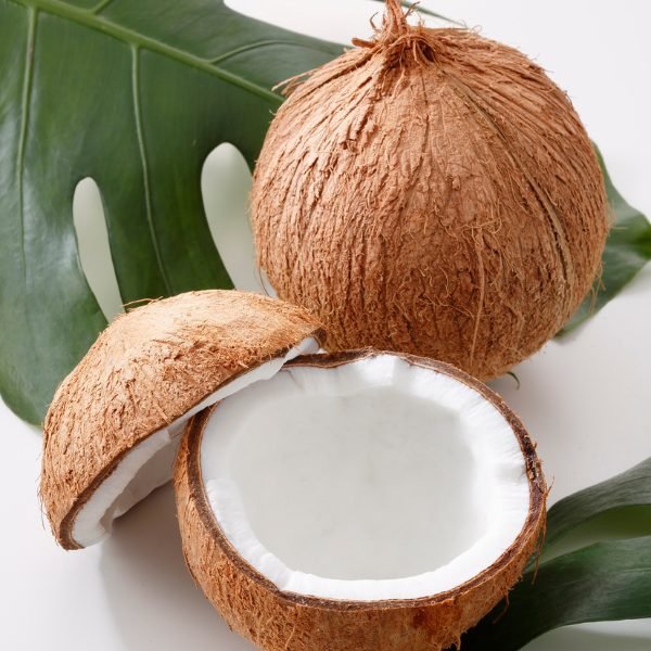 Matured Coconut-image