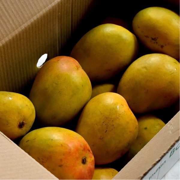 Alphonso Mango-image